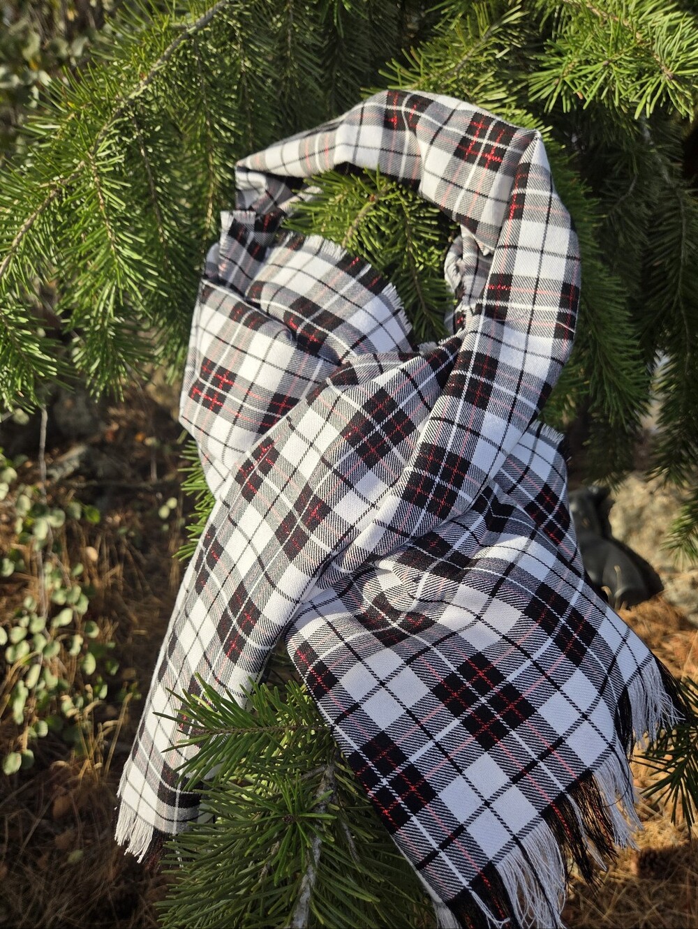 Plaid Black & White Scarf with Red Shimmer Accent
